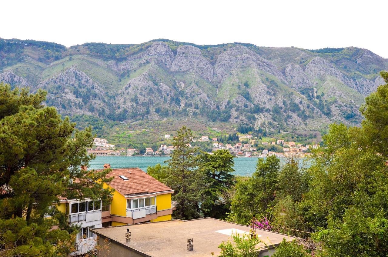 Central Apartment Kotor Zewnętrze zdjęcie